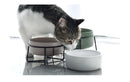 Double Cat Food Water Bowls with Stand Ceramic Pet Feeding Accessories Cats Small Dogs Eat Drink Supplies Puppy Feeder Bowl