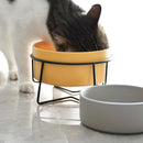 Double Cat Food Water Bowls with Stand Ceramic Pet Feeding Accessories Cats Small Dogs Eat Drink Supplies Puppy Feeder Bowl