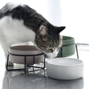 Double Cat Food Water Bowls with Stand Ceramic Pet Feeding Accessories Cats Small Dogs Eat Drink Supplies Puppy Feeder Bowl