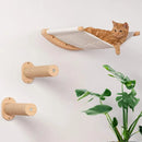 Cat Shelf Furniture Activity Indoor Cats Wall Hammock Climbing Shelves Solid Wood Steps Sisal Rope Cat Stairs Pet Wall Furniture