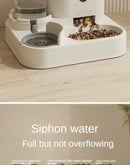 Automatic Feeder Dog Cat Food Bowl With Water Fountain Large Capacity Pet Food Storage Dispenser Container Puppy Pet Accessories