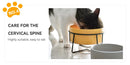 Double Cat Food Water Bowls with Stand Ceramic Pet Feeding Accessories Cats Small Dogs Eat Drink Supplies Puppy Feeder Bowl