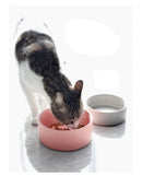Double Cat Food Water Bowls with Stand Ceramic Pet Feeding Accessories Cats Small Dogs Eat Drink Supplies Puppy Feeder Bowl