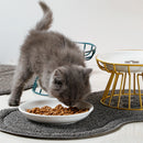 Pet Ceramic Bowl Nordic High Footed Ceramic Cat Food Bowl Snack Can Plate Anti Overturning Kitten Puppy Food Water Feeding Bowl