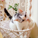 Winter Pet Hammock Hand Woven Cotton Rope Cat Swing Hanging Basket Indoor Pend Nest Kitten Supplies