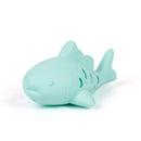 Cat Interactive Chew Toy Pet Food Leakage Simulated Fish Bite-resistant Kitten Toy Teeth Grinding Chewing Cat Toy Supplies