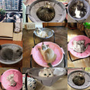 Pet Hammock Cat Standing Bed Pet Supplies Full Wash Stable Structure, Cat Dog Bed Detachable, Excellent Breathability