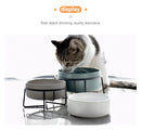 Double Cat Food Water Bowls with Stand Ceramic Pet Feeding Accessories Cats Small Dogs Eat Drink Supplies Puppy Feeder Bowl