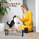 Raised Cat Bowls Pet Feeder 15° Tilted Elevated Cat Food Bowls with Wooden Stand 2 Stainless Steel Bowls for Cats and Puppies