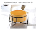 Double Cat Food Water Bowls with Stand Ceramic Pet Feeding Accessories Cats Small Dogs Eat Drink Supplies Puppy Feeder Bowl